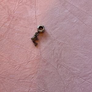 Kay Jewelers Silver dolphin Charm